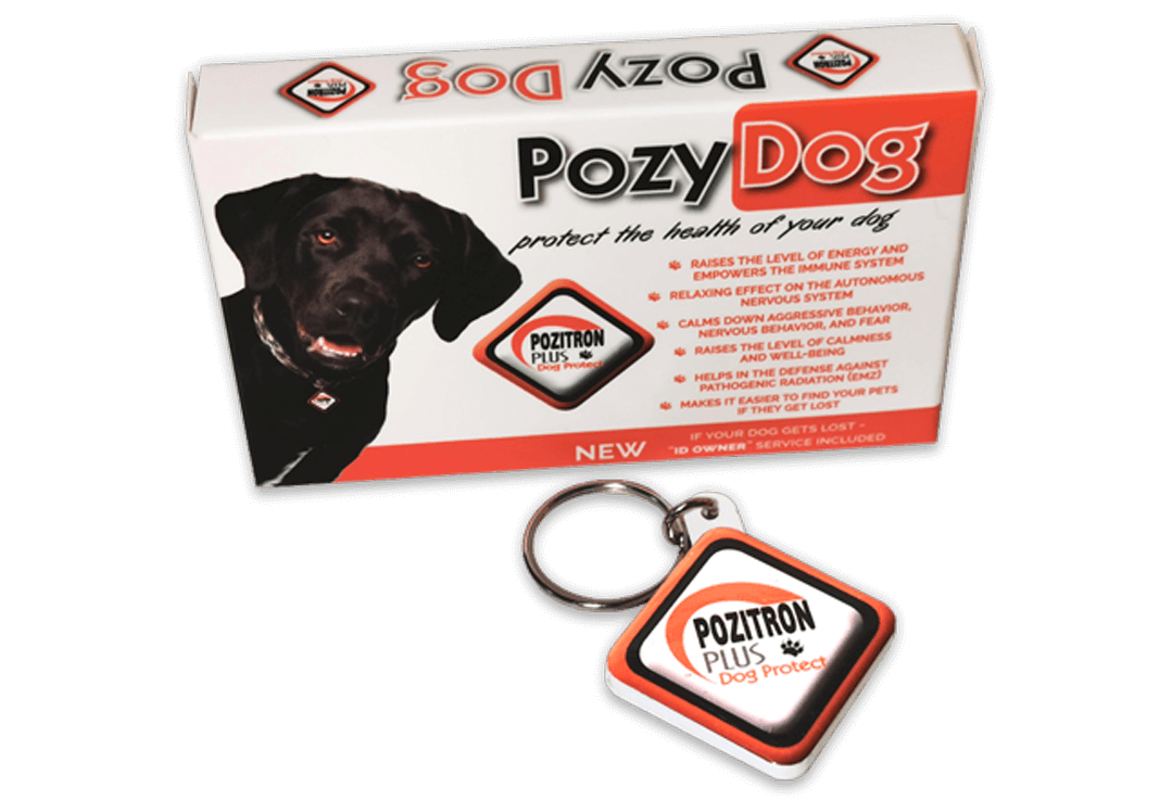 Spin A Lucky Wheel! - Win Pozy Dog 1m - DOG PENDANT Discounts