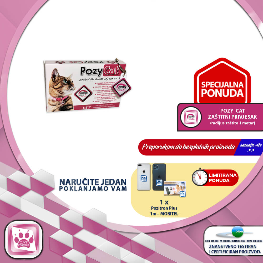 Pozy Cat Privjesak