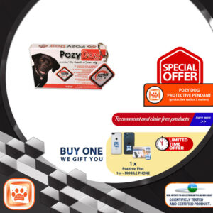 Pozy Dog Pendant